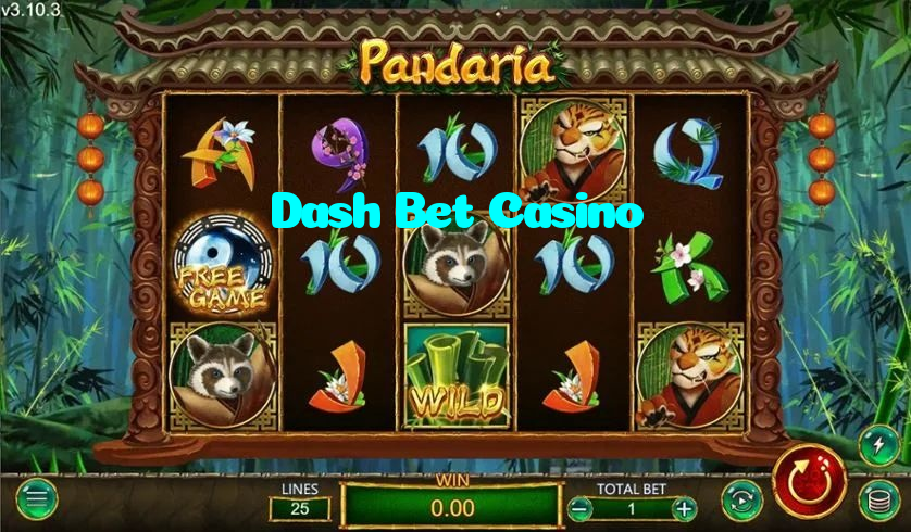 Dash Bet Casino casino presented on mobile device in Pakistan with slots and live games